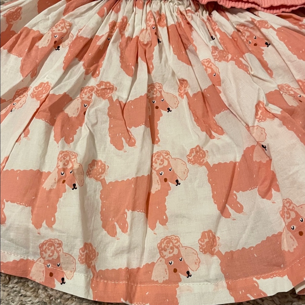 Pink Chicken Ruffle Top and Skirt Set - Picture 2 of 2